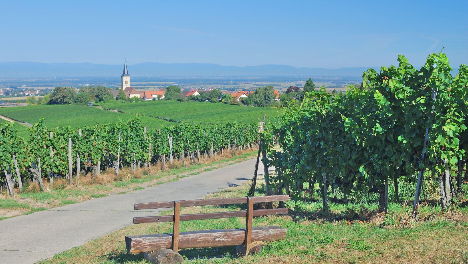 Badische Weinregion